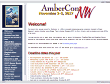 Tablet Screenshot of amberconnw.org